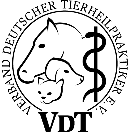 VDT Logo