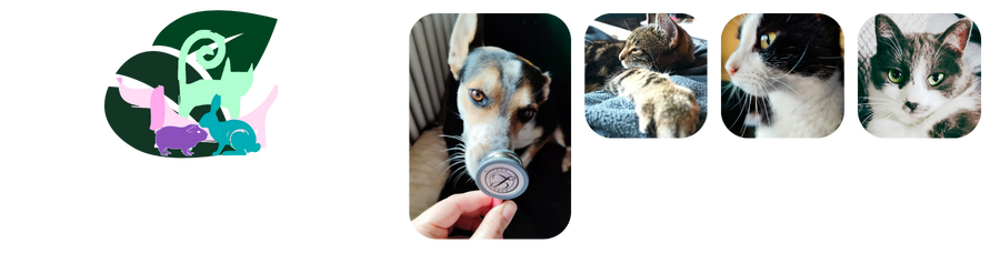 Tierheilpraktikerin Marisa Hofmann-Wirth